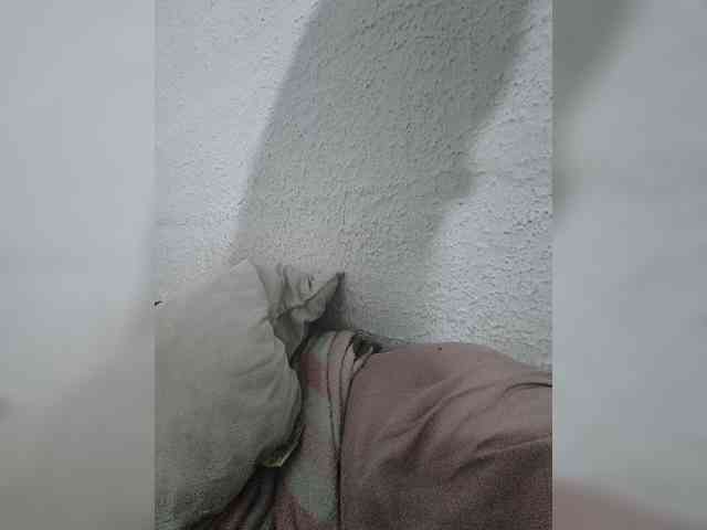 MeliissaVelez MeliissaVelez