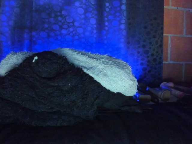 cata-anngel live cam on BongaCams