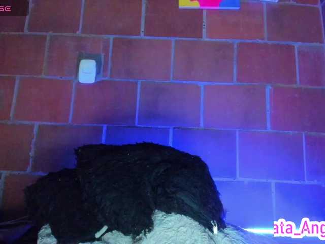 cata-anngel live cam on BongaCams