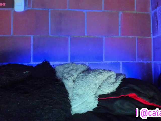 cata-anngel live cam on BongaCams