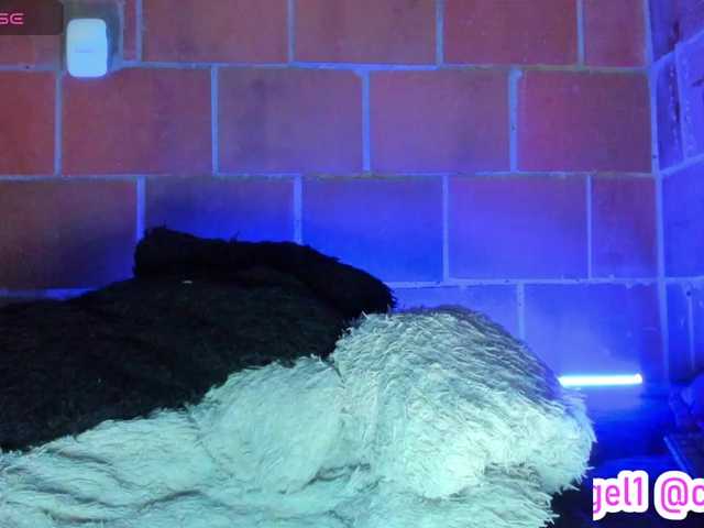 cata-anngel live cam on BongaCams