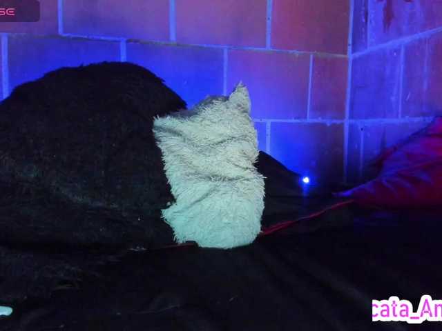 cata-anngel live cam on BongaCams