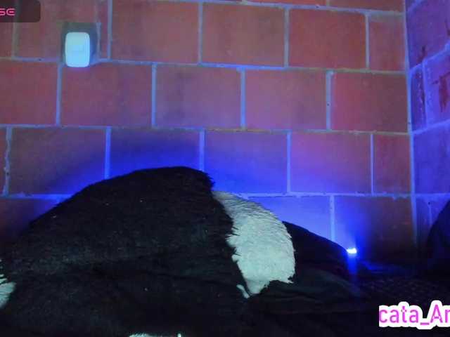 cata-anngel live cam on BongaCams