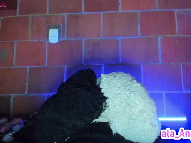 cata-anngel Live Cam on BongaCams