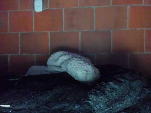 cata-anngel live cam on BongaCams
