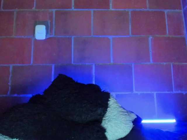 cata-anngel live cam on BongaCams