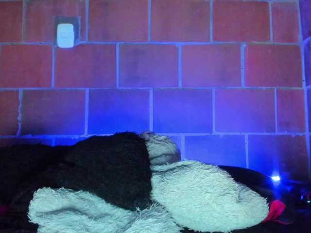 cata-anngel live cam on BongaCams