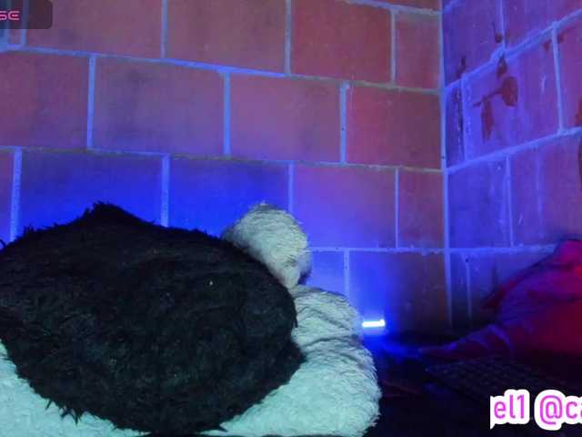 cata-anngel live cam on BongaCams