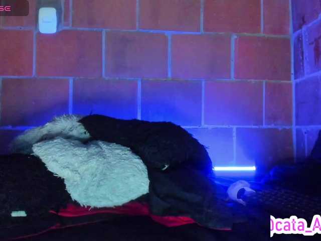 cata-anngel live cam on BongaCams