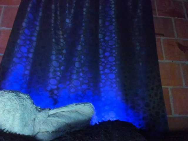cata-anngel live cam on BongaCams