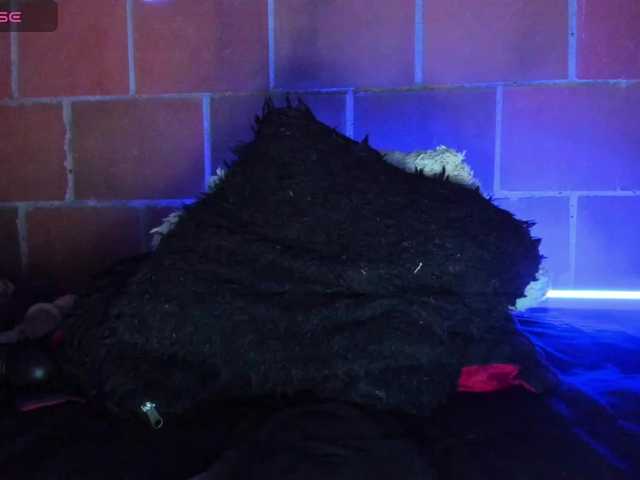 cata-anngel live webcam show