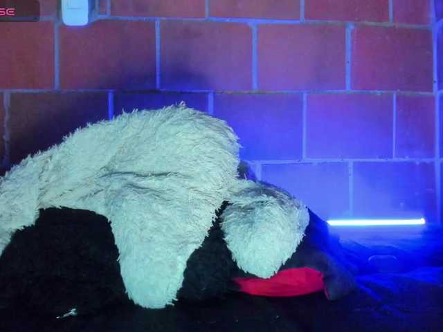 cata-anngel live webcam show