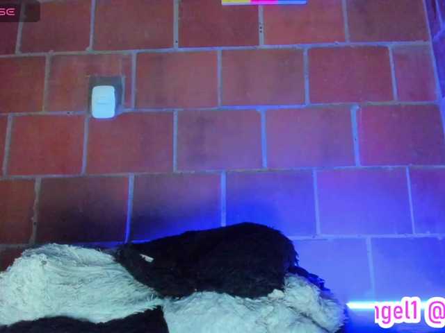 cata-anngel live cam on BongaCams