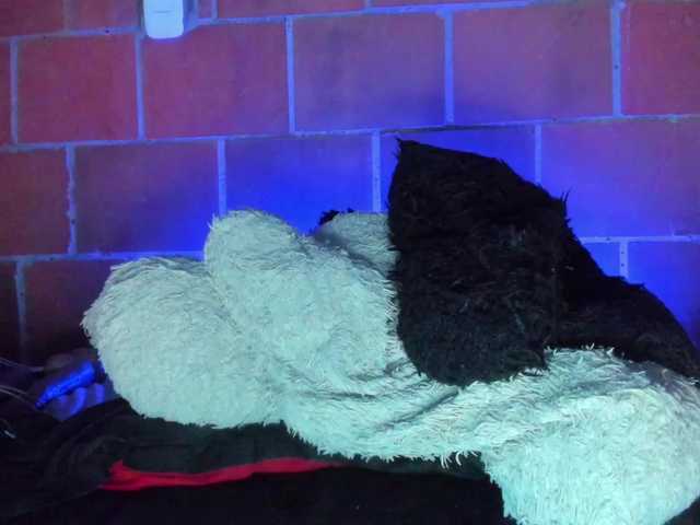 cata-anngel live cam on BongaCams