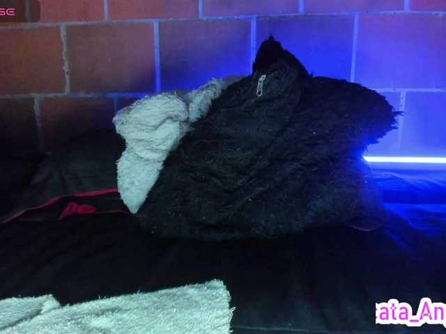 cata-anngel live cam on BongaCams