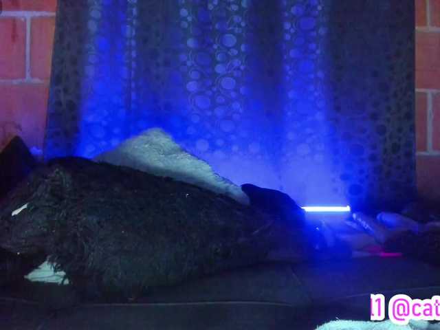 Preview of cata-anngel