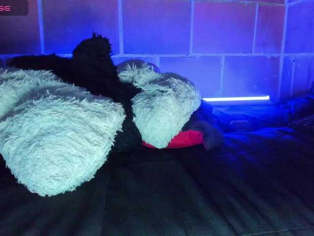 cata-anngel live cam on BongaCams