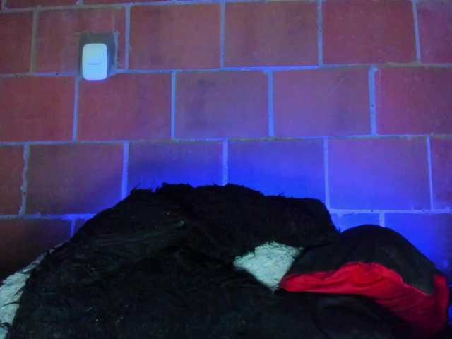 cata-anngel live cam on BongaCams