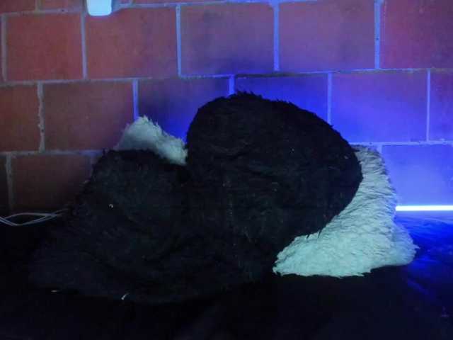 cata-anngel live cam on BongaCams