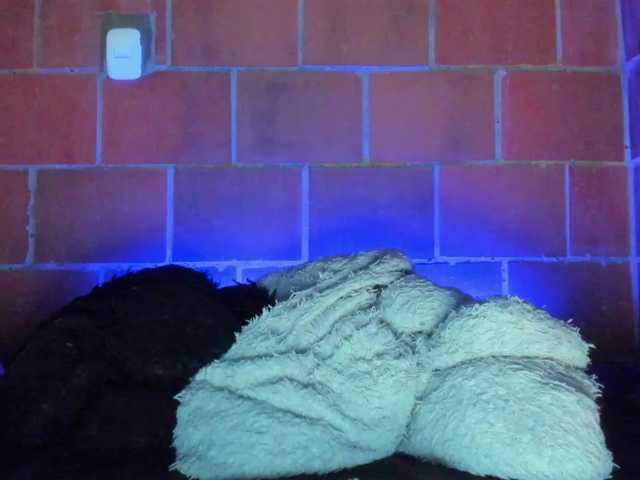 cata-anngel live cam on BongaCams