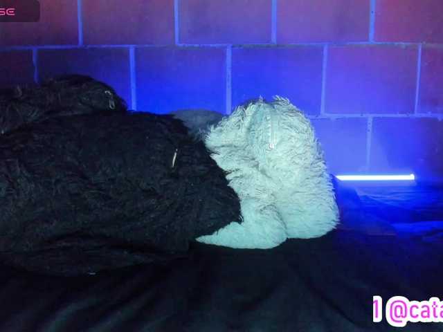 cata-anngel live webcam show