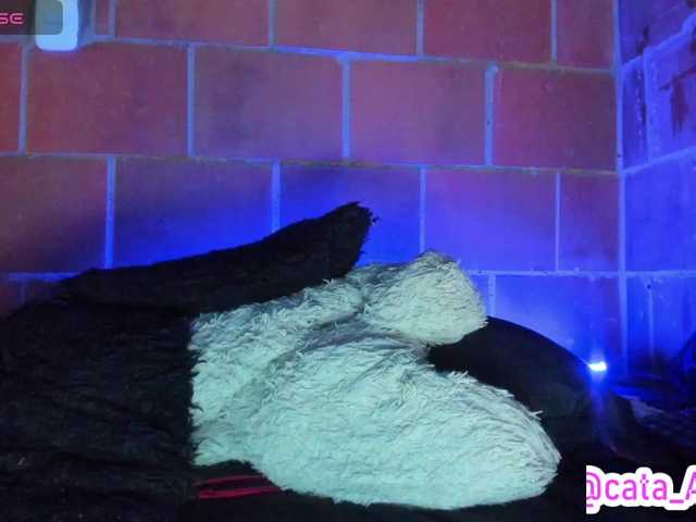 cata-anngel live cam on BongaCams