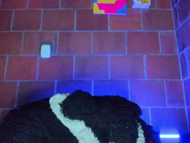 cata-anngel live cam on BongaCams