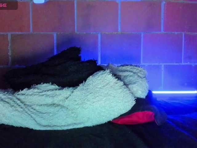 cata-anngel live webcam show