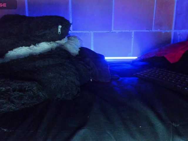 cata-anngel live cam