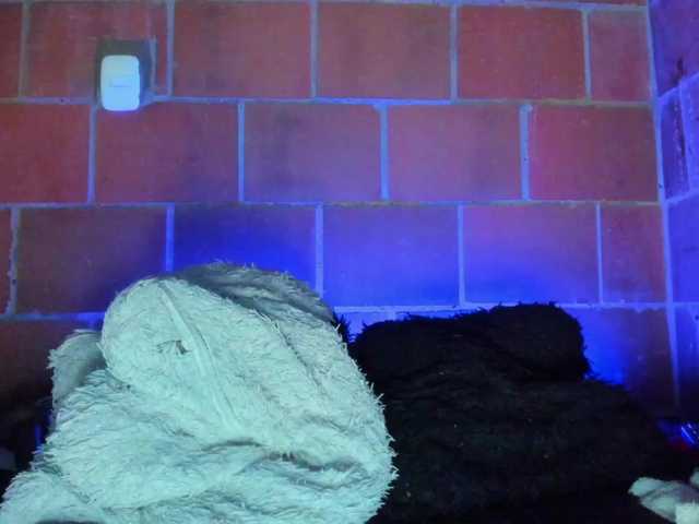 cata-anngel live webcam show
