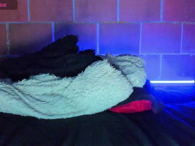 cata-anngel live webcam show