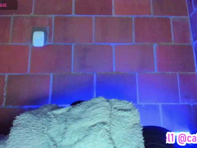 cata-anngel live cam on BongaCams