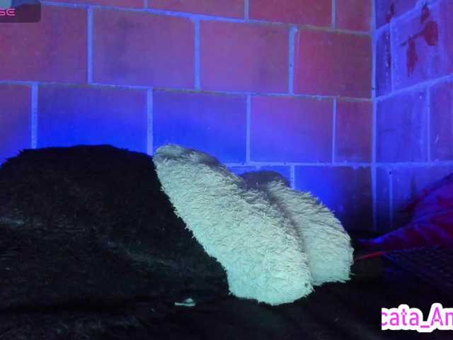 cata-anngel live cam on BongaCams