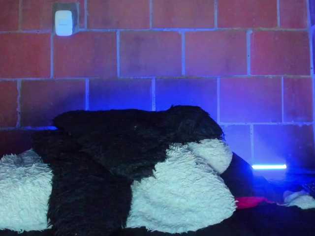 cata-anngel live cam on BongaCams