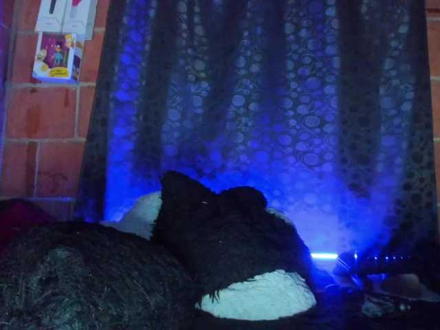 cata-anngel live cam preview