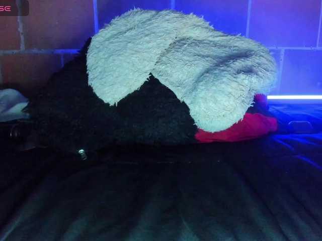 cata-anngel live webcam show