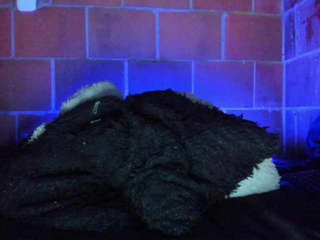 cata-anngel live cam on BongaCams