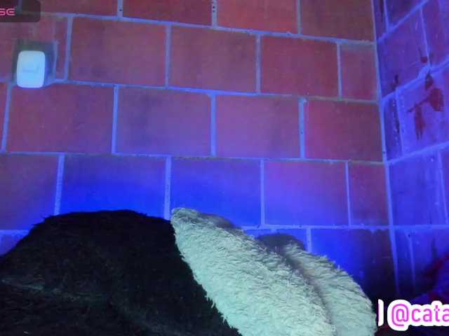 cata-anngel live cam on BongaCams