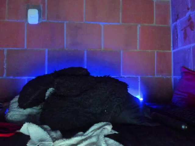 cata-anngel live webcam show