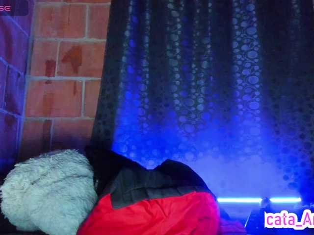 cata-anngel webcam
