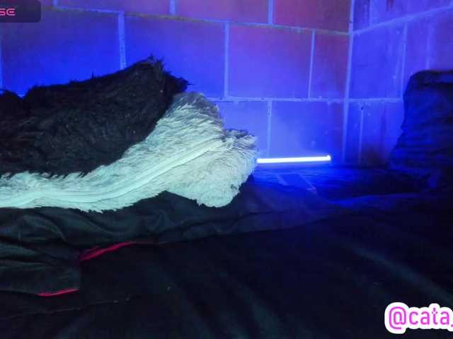 cata-anngel live cam on BongaCams