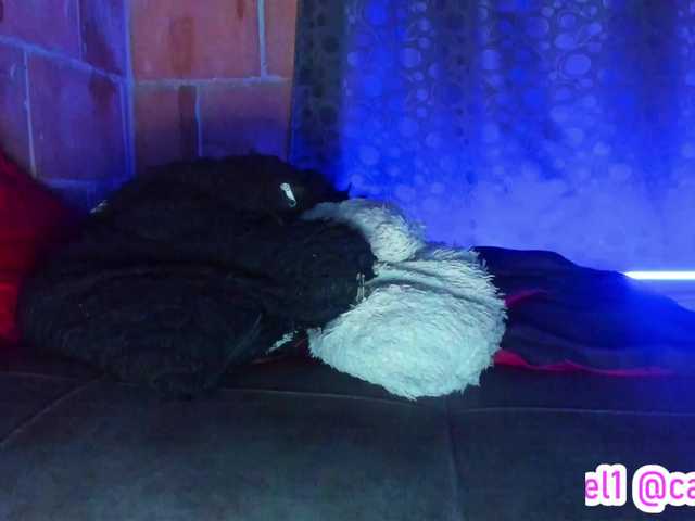 cata-anngel's BongaCams show and profile