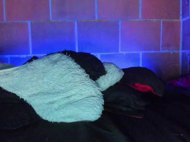 cata-anngel live cam on BongaCams