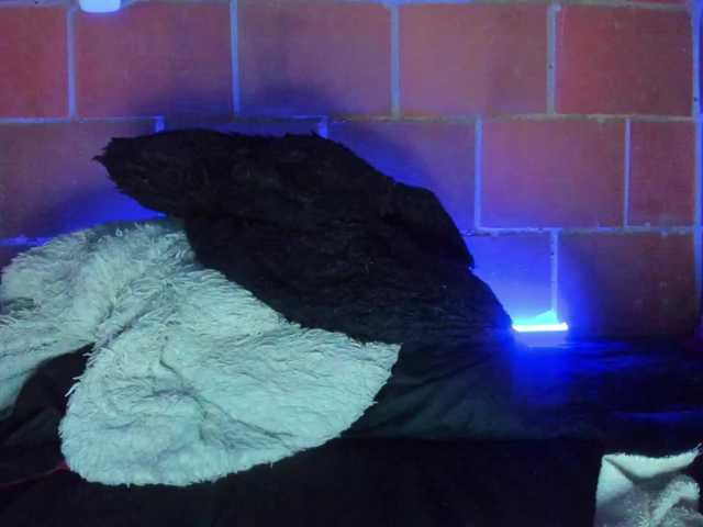 cata-anngel live webcam show