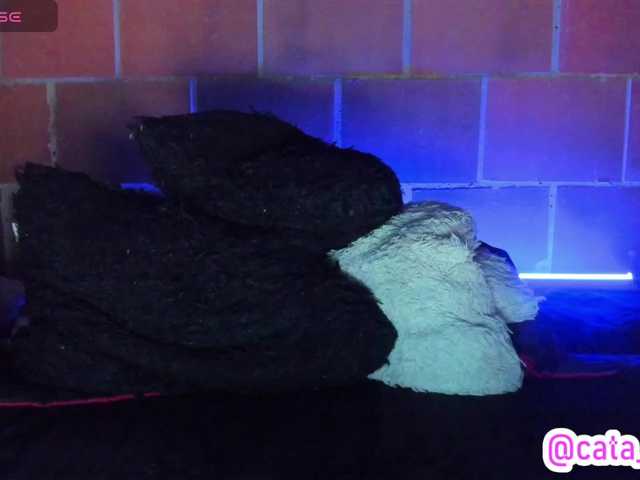 cata-anngel live cam on BongaCams