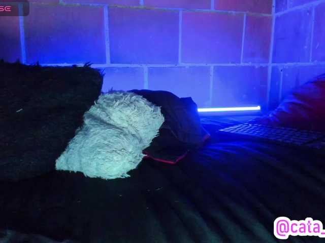 cata-anngel live cam on BongaCams