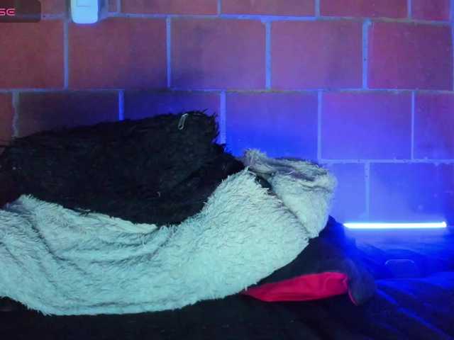 cata-anngel live webcam show