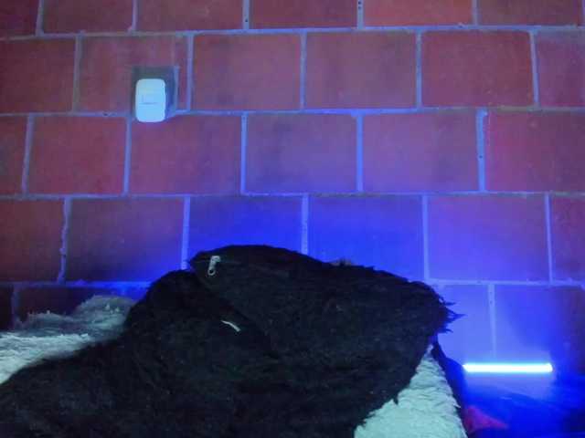 cata-anngel live cam on BongaCams
