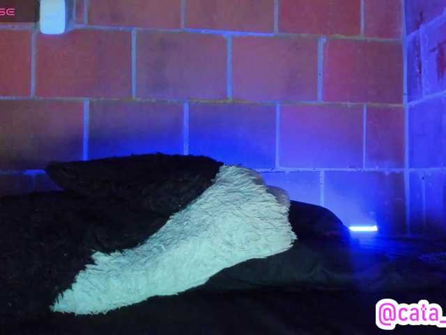 cata-anngel live cam on BongaCams