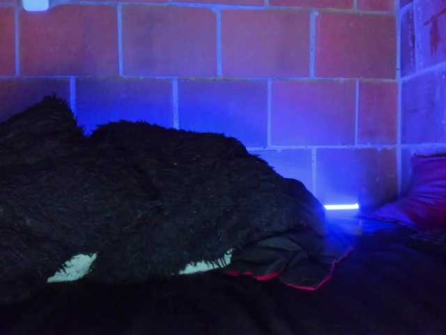 cata-anngel live webcam show